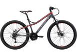 Mountainbike BIKESTAR Gr. 41, grau, Fahrräder, 41cm, 26 Zoll (66,04cm), für Damen und Herren, Kettenschaltung