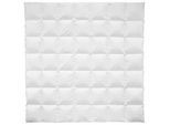 Billerbeck Ganzjahresdecke , Weiß , Textil , Füllung: Daunen , 200x200 cm , für Hausstauballergiker geeignet, weich und anschmiegsam , Heimtextilien, Kopfpolster & Bettdecken, Bettdecken, Daunendecken