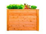 Xxxl Hochbeet , Lärchefarben , Holz , Lärche , 330 l , 65x66x100 cm , Gartenzubehör, Hochbeete