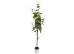 Ambia Home Kunstpflanze , 122 cm , Dekoration, Blumen & Blumentöpfe