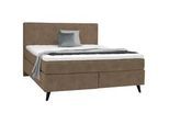 Voleo Boxspringbett , Braun , Textil , H3 , 180x200 cm , Über- und Sondergrößen erhältlich, gepolstertes Kopfteil, Federkernmatratze, Stoffauswahl, Topper durchgehend, in verschiedenen Größen erhältlich, Partnermatratze mit durchgehendem Bezug, Matratze in verschiedenen Härtegraden erhältlich, Topperauswahl, Kopfteilauswahl , Schlafzimmer, Betten, Boxspringbetten