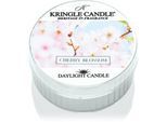Kringle Candle Warm Cotton theelichtje 42 gr