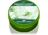 Kringle Candle Balsam Fir theelichtje 42 gr