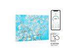 Wonderwall Air Art Smart Infrarotheizung 80x60cm 500W Wandmontage Blüten