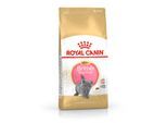 Royal Canin British Shorthair Kitten 400g