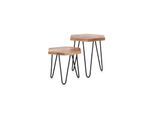 byLIVING Zweisatztisch ELEA, B 45x40 cm, H 45/55 cm, Mangoholz natur/schwarz