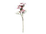 Chic Antique Fleur Weihnachtsstern mit Schnee und Glitzer, L63 cm, antique cherry