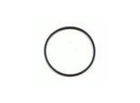 Meadow O-ring (Pump Head) for AT3335/6