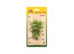 Meadow Hygrophila plastic 10 cm