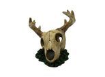 4FISH Skull 14x15x15.8 cm