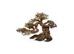 4FISH Bonsai tree roots 30x15x23 cm