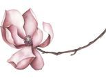 queence Wandtattoo »Sabrina«, (1 St.), Wandbild, Sticker, rosa, Blume, Blüte, selbstklebend