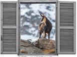 queence Wandtattoo »Gams«, (1 St.), Wandsticker, Wandbild, selbstklebend, 3D, Fenster