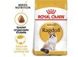 ROYAL CANIN Ragdoll Adult 10 kg