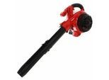 Laubbläser GeoTech BB250EVO - 2-Takt Motor EURO 5 - Leistung 1 PS