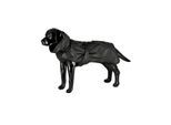Dogman Dog Raincoat Aqua Black 65cm