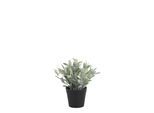 Chic Antique Fleur künstliche Pflanze Jojoba, H18/Ø 8 cm grün