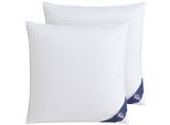 SPESSARTTRAUM Daunenkissen »Kissen-Set FIRST CLASS«, Füllung: 90% Daunen, 10%Federn, Bezug: 100% Baumwolle, (Spar-Set, 2...