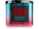 Bath & Body Works Stranger Things The Upside Down geurkaars 411 g