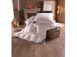 Haeussling Gänsedaunenbettdecke »Luksus Hygge«, warm, Füllung 100% Gänsedaunen, (1 St.)