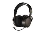 Gaming-Headset »Audeze Maxwell für Xbox«