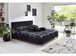 Polsterbett, schwarz, B:190cm L:210cm, Bezug: Microvelours (100% Polyester);Bonnell-Federkern-Matratzenbezug: 100% Polyester;Kaltschaum-Matratzenbezug: Frottee 100% Polyester, Bezug abnehm- und waschbar bis 60C, WESTFALIA SCHLAFKOMFORT, Betten, Polsterbett