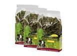 JR Farm Grainless Complete Meerschweinchen 3x1,35 kg
