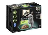 Sheba Multipack Kitten in Sauce Feine Vielfalt mit Lachs, mit Huhn MSC 12x85 g
