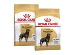 ROYAL CANIN Rottweiler Adult 2x12 kg