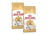 ROYAL CANIN Norwegian Forest Adult 2x10 kg