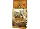 WOLFSBLUT Puppy Wide Plain Pferdefleisch mit Süßkartoffel 2 kg