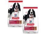 Hill's Science Plan Medium Adult 1-6 Lamm und Reis 2x14 kg