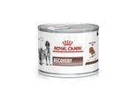 ROYAL CANIN Veterinary RECOVERY 12x195g