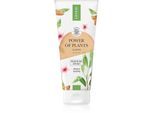 Lirene Power of Plants Almond Hoog voedende Bodybalsem voor regeneratie van de huid 200 ml
