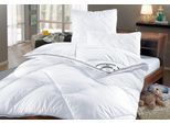 fan Microfaserbettdecke »Climacontrol® II, Bettdecken für den Winter, Made in Germany«, warm, Füllung 100% Polyester, Bezug 100% Baumwolle, (1 St.), Bettdecke 135x200 cm, 155x220 cm und weiteren Grössen, Decke