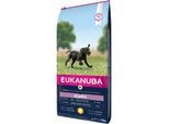 EUKANUBA Trockenfutter Hund Large Breed Puppy, Huhn 15 kg