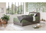 Boxbett COTTA "Beetle", grau, B:98cm L:210cm, 100% POLYESTER (PES), Komplettbetten, inkl. Topper und Bettkasten