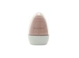 Beautifly Sonic Brush Pure Light Basic