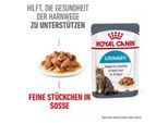 ROYAL CANIN Care Urinary in Soße 12x85 g