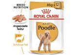 ROYAL CANIN Poodle Adult in Soße 12x85 g