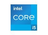 Intel Core i5 13400F / 2.5 GHz processor - OEM CPU - 10 Kerne - 2.5 GHz - Intel LGA1700 - Bulk (ohne Kühler)