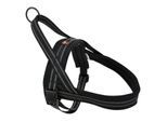 Dogs Creek Norwegergeschirr Control schwarz XL