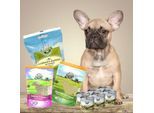 Bellfor Hypoallergenes Hundefutter Nass im Sparset für kleine Hunde 2,760 g