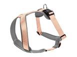 Hunter Geschirr Neopren orange/ grau M-L