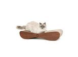 Canadian Cat Company Kratzbrett Satellite 2.0 braun