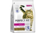 PERFECT FIT Adult 1+ Reich an Lachs 2x2,8 kg