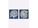 Bild HEINE HOME, beige (farbe bild(er): natur, blau), B:40cm H:40cm T:3cm, Bilder, Bild