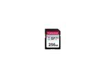 Transcend 300S SD - 100MB/s - 256GB