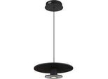 LED-Hängeleuchte Carter Schwarz max. 24 Watt