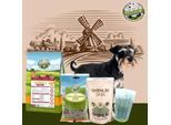 Bellfor Zwergschnauzer Futter Set